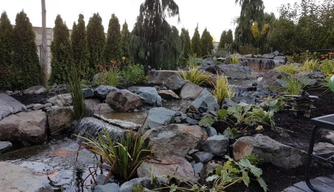 Waterscape and landscape