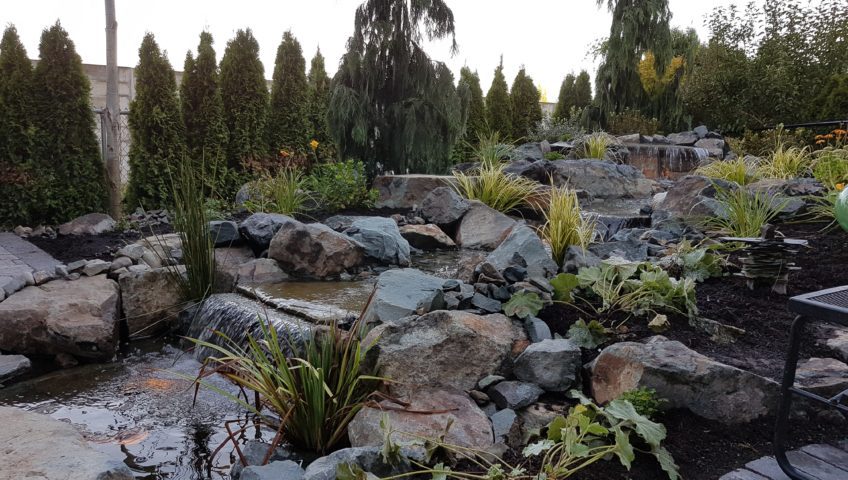 Waterscape and landscape