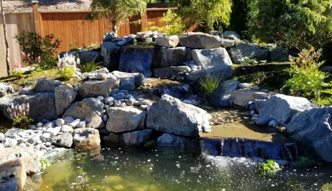Water features
