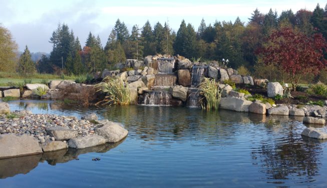 water feature construction
