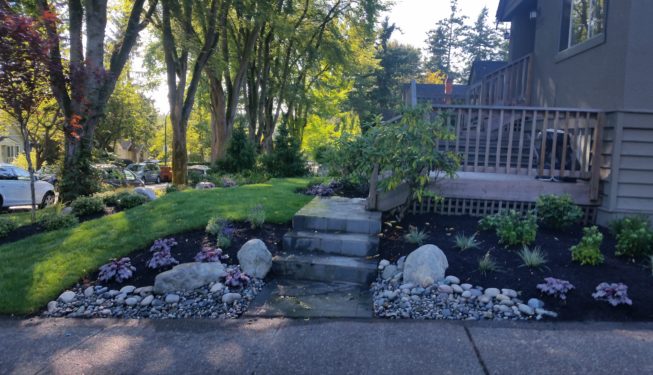 soft landscaping
