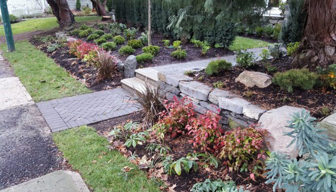 Landscaping for Beginners: Tips and Ideas