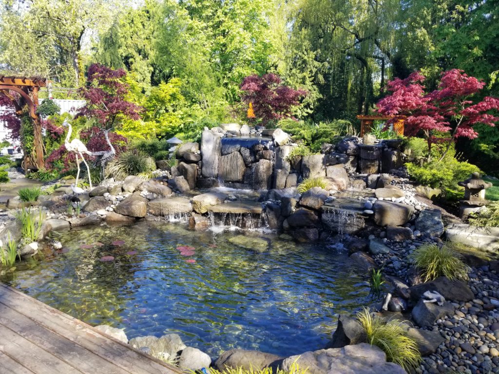 waterscapes and landscapes
