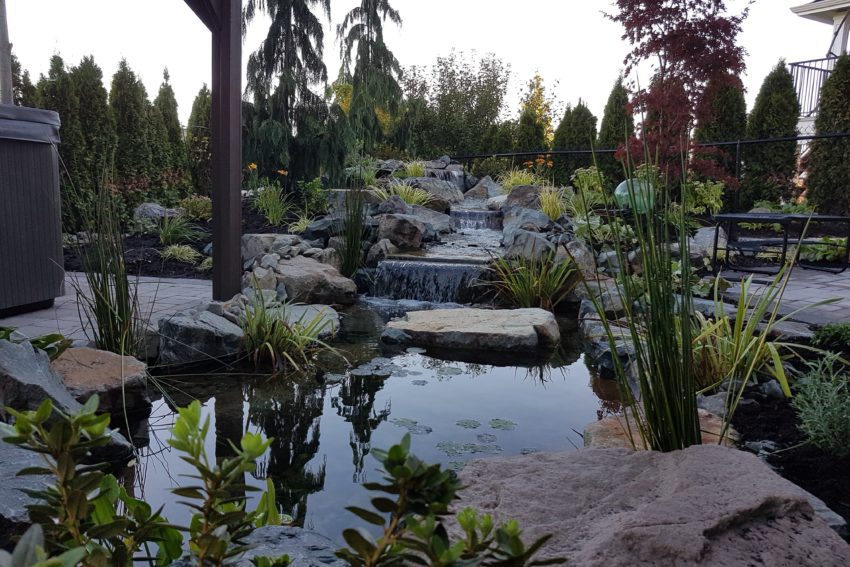 Waterscape garden landscape
