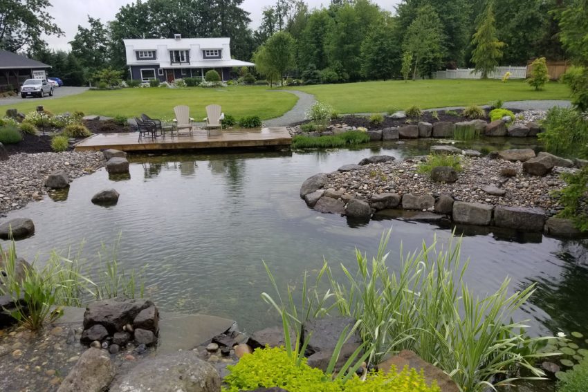 Water feature in garden