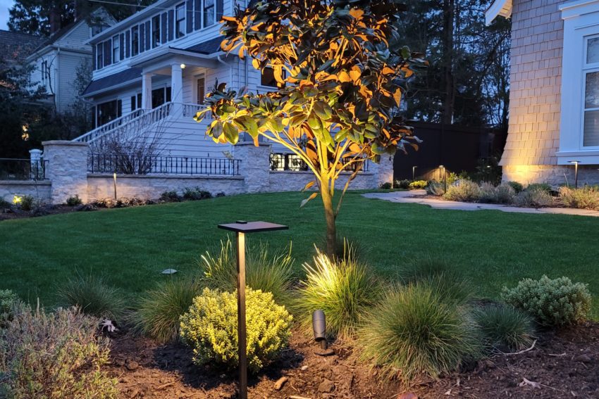 Landscape Lighting