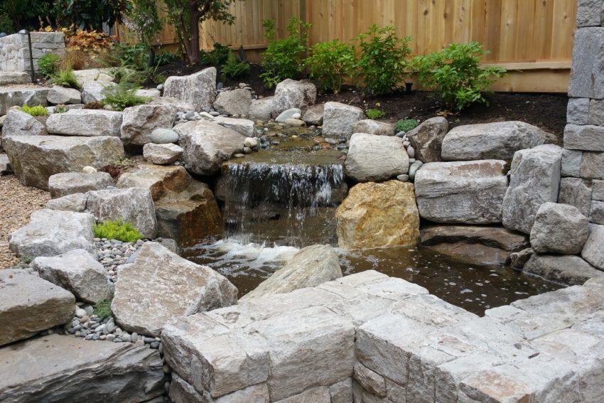 Waterscape pond