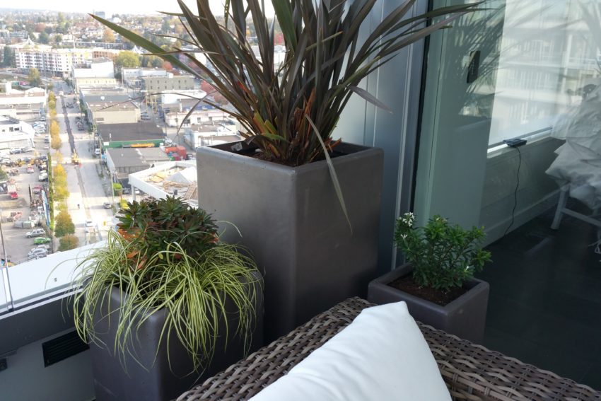 Plant pots