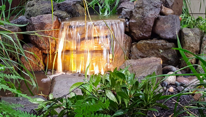 Landscaping trends