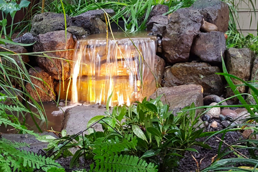 Landscaping trends