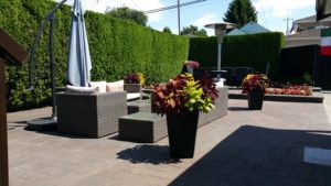 Paver Outdoor Patio