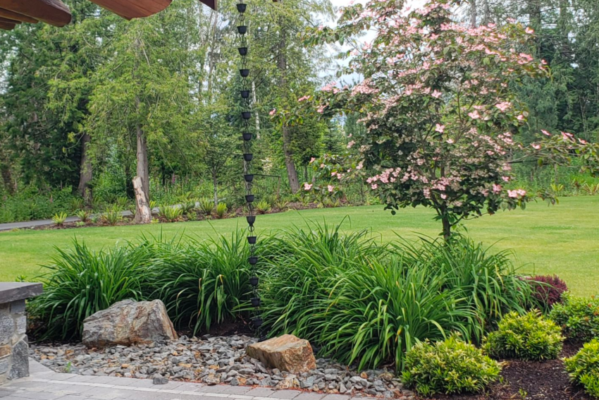 Garden Softscape