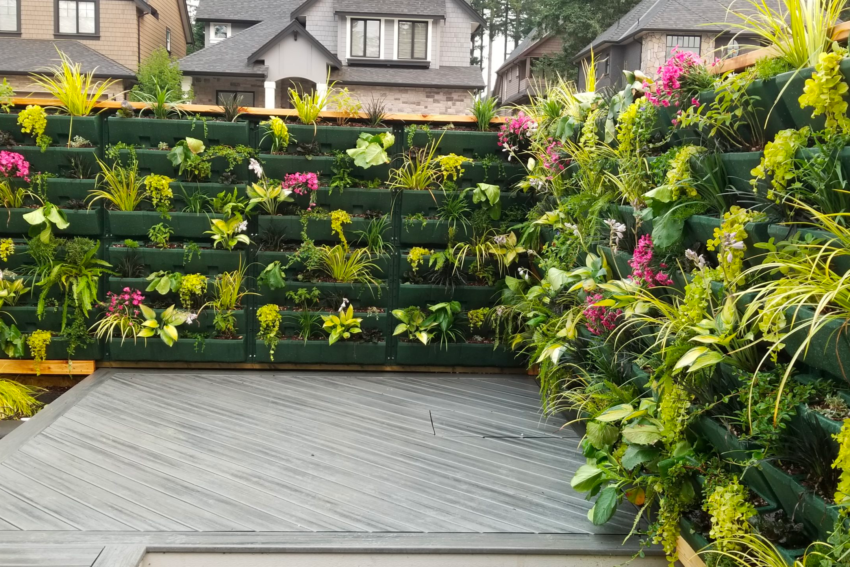 Softscape Planters