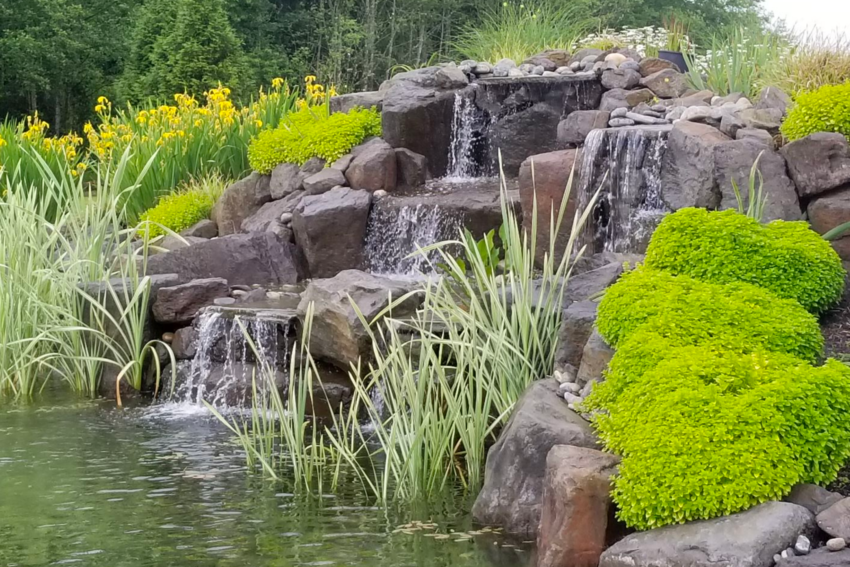 Water feature