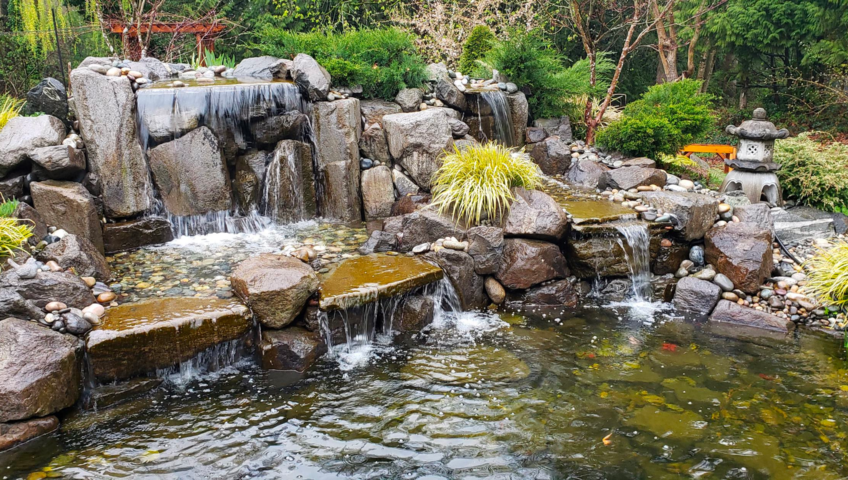 Waterscape Maintenance 101