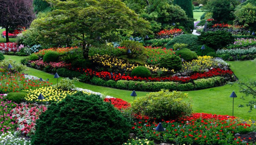 landscape design