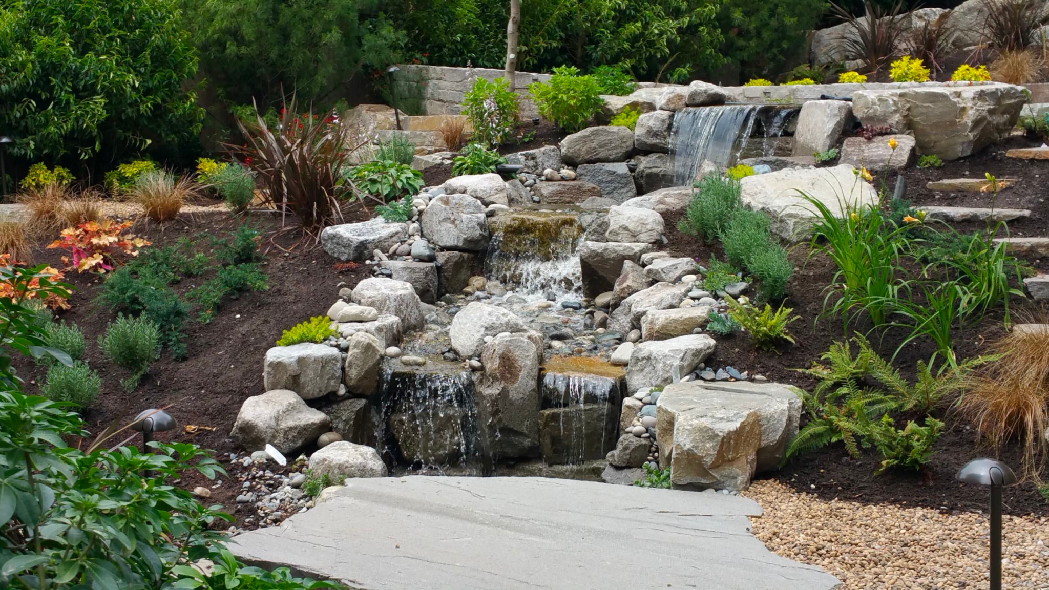 Water-Wise Landscaping