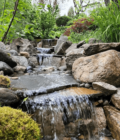 Incorporating Water Features