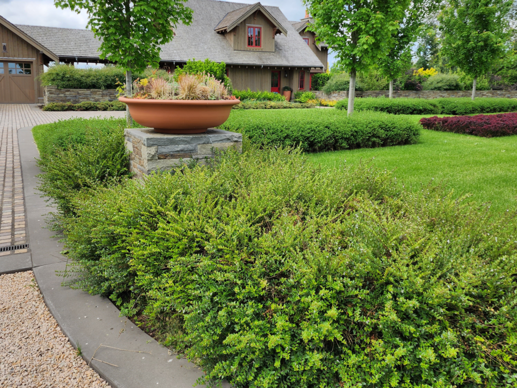 Landscape Construction Services in Burnaby