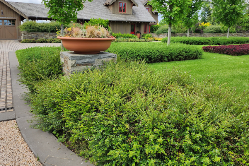 Landscape Construction Services in Burnaby