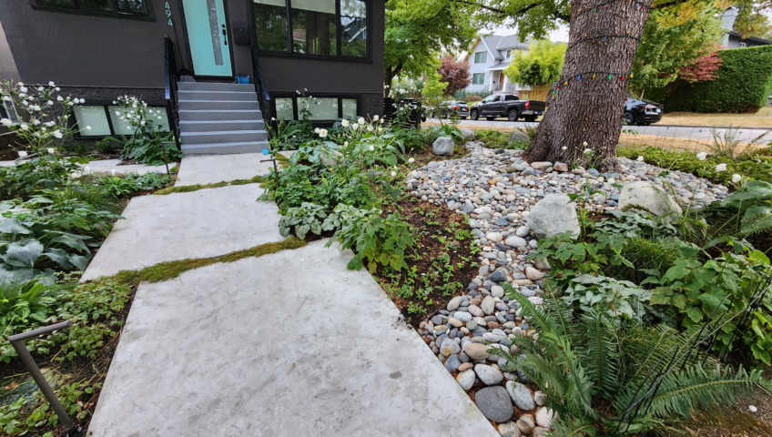 Professional Landscaping Design