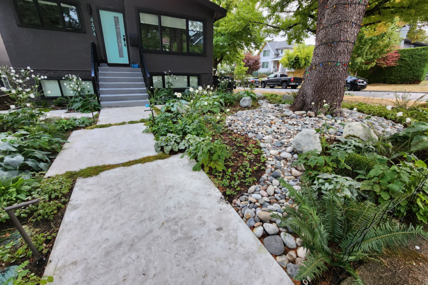 Professional Landscaping Design