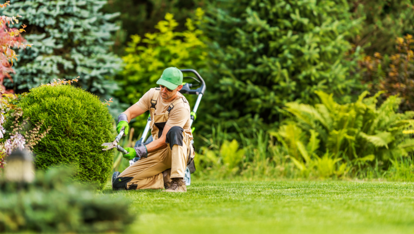 Landscape Services in West Vancouver