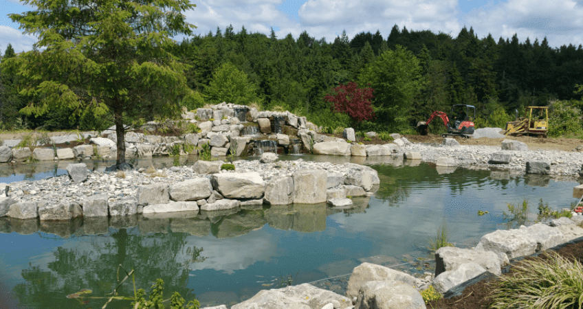 Choosing the Right Landscaping Vancouver Company